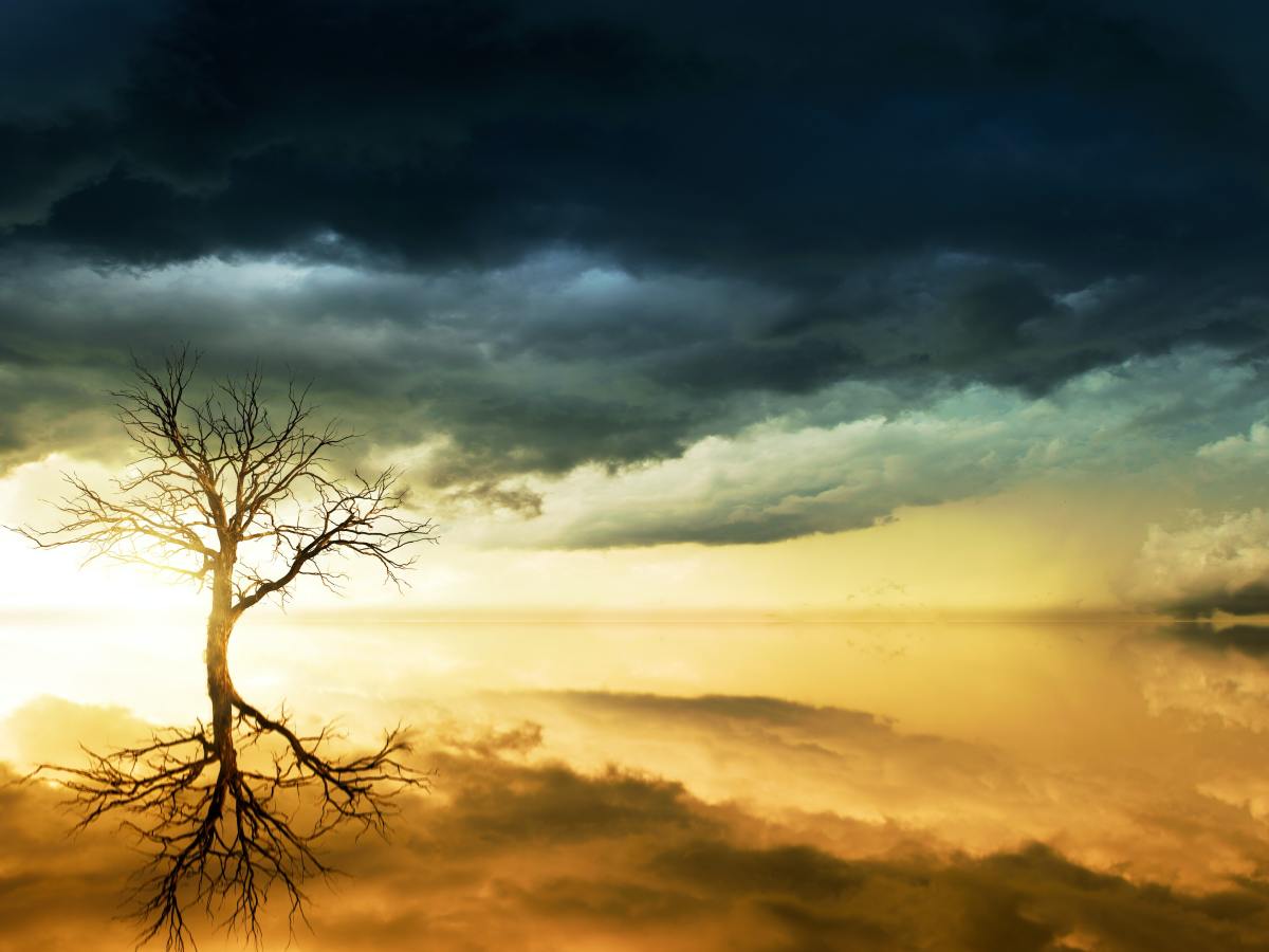 Nota rimada. 15. Nubes de tormenta. Maclovio&nbsp;Fernández