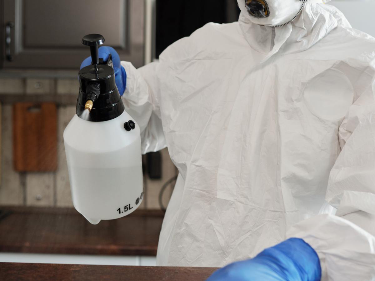 Universo breve. 21. Ruptura. Damaris&nbsp;Disner