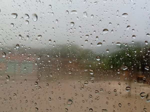 La cuarta pared. 4. Lluvia. Bibiana&nbsp;López