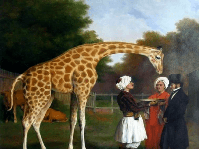 Cajón de rubores. 2. Fisonomía 2-La Jirafa Nubia. Antonio&nbsp;Florido