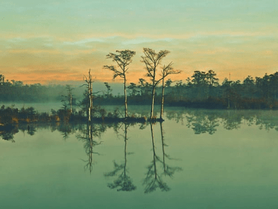 Cajón de rubores. 13. Verde pantano al amanecer, crítica. Antonio&nbsp;Florido