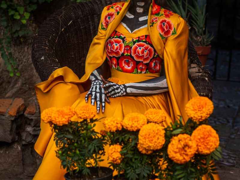 Nota muerta. Calaveritas 5. Maclovio&nbsp;Fernández