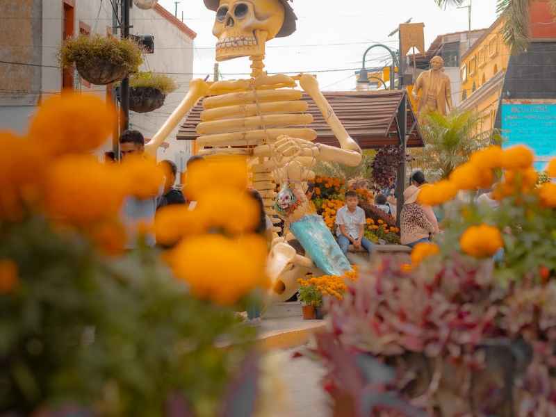 Nota muerta. Calaveritas 7. Maclovio&nbsp;Fernández