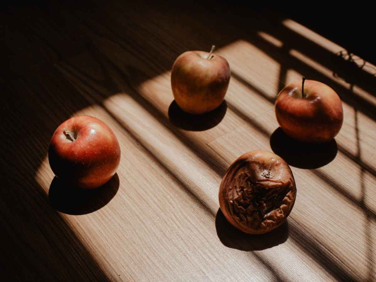 Nota rimada. 18. Gangrena. Maclovio&nbsp;Fernández