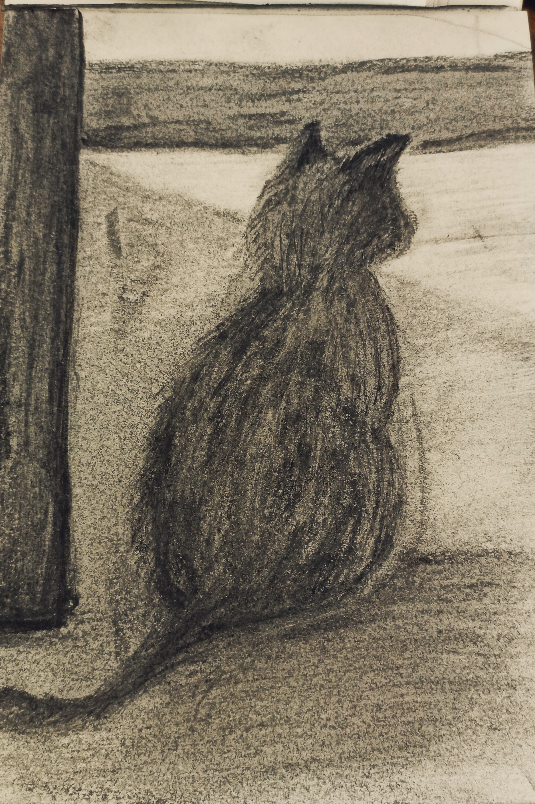 Ilustración: Alejandro Nudding.