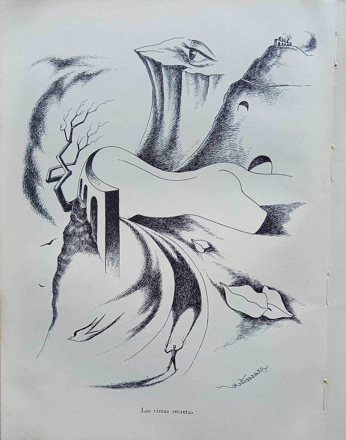 Ilustración: Héctor Ventura