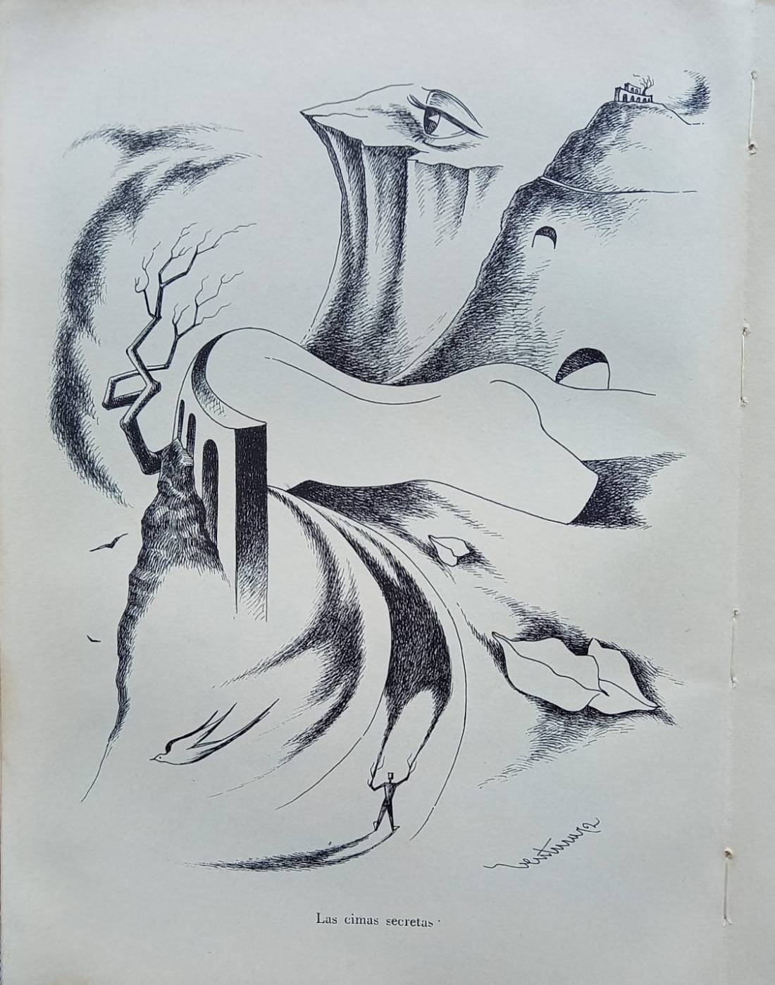 Ilustración: Héctor Ventura