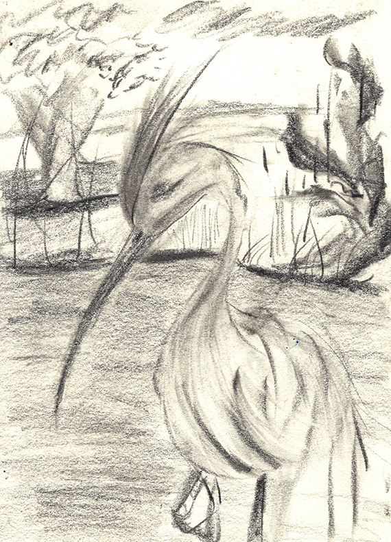 Ilustración: Alejandro Nudding.