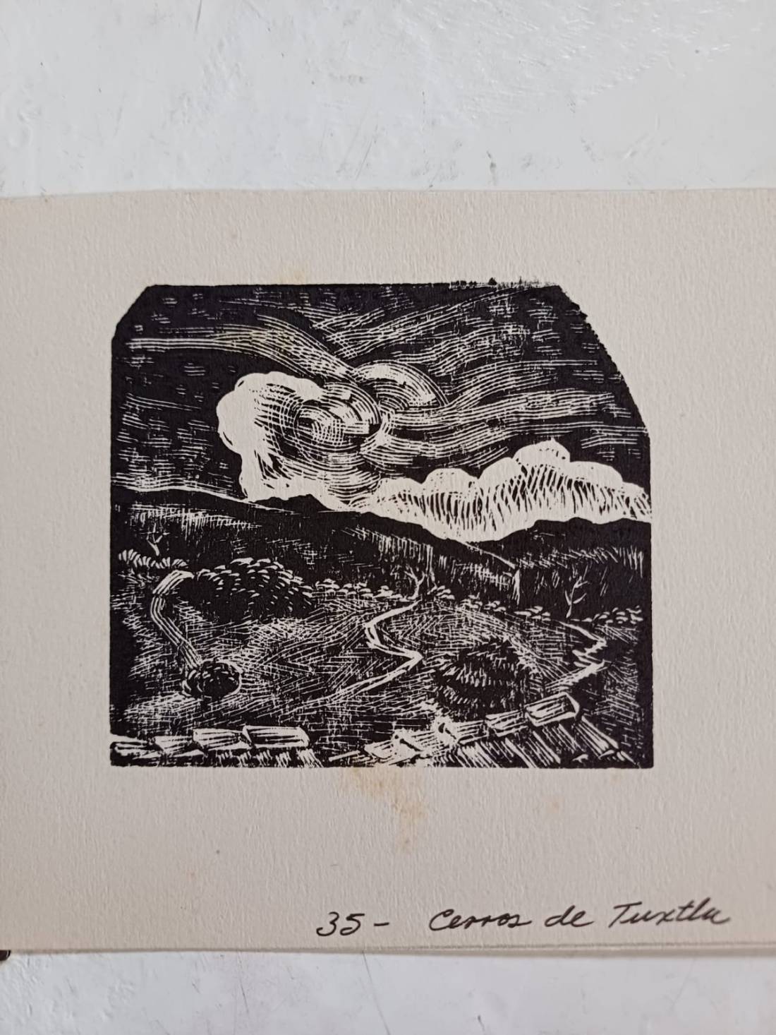 Ilustración: Héctor Ventura.