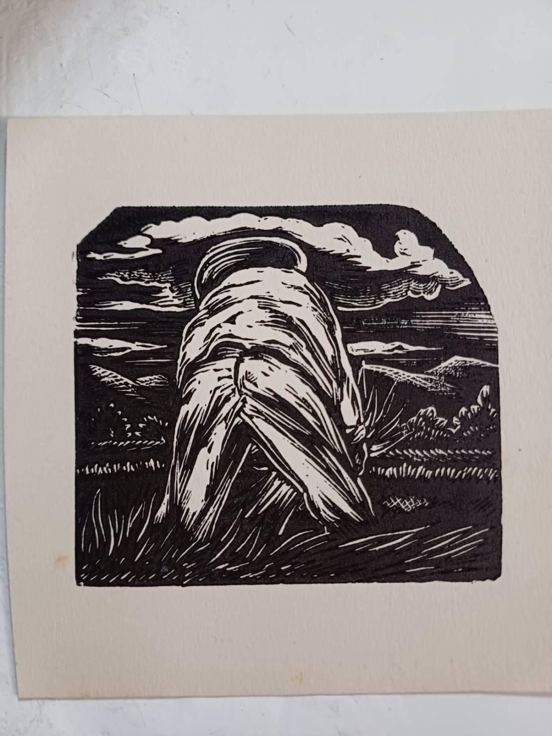 Ilustración: Héctor Ventura.