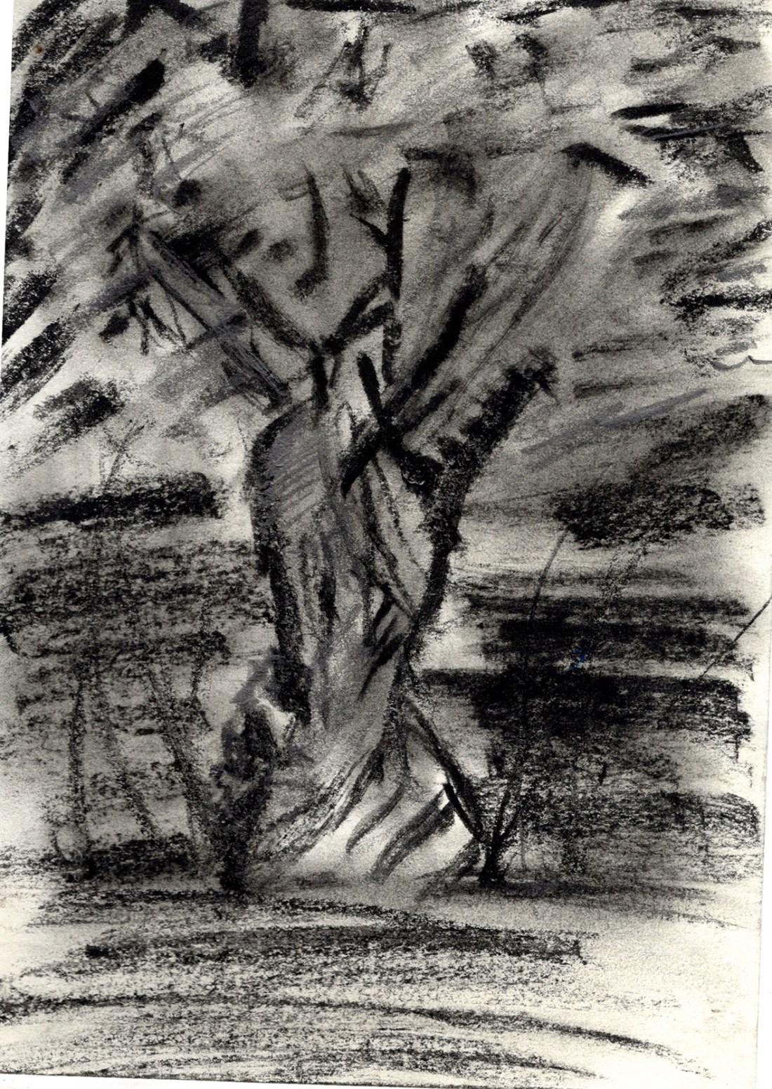 Ilustración: Alejandro Nudding.