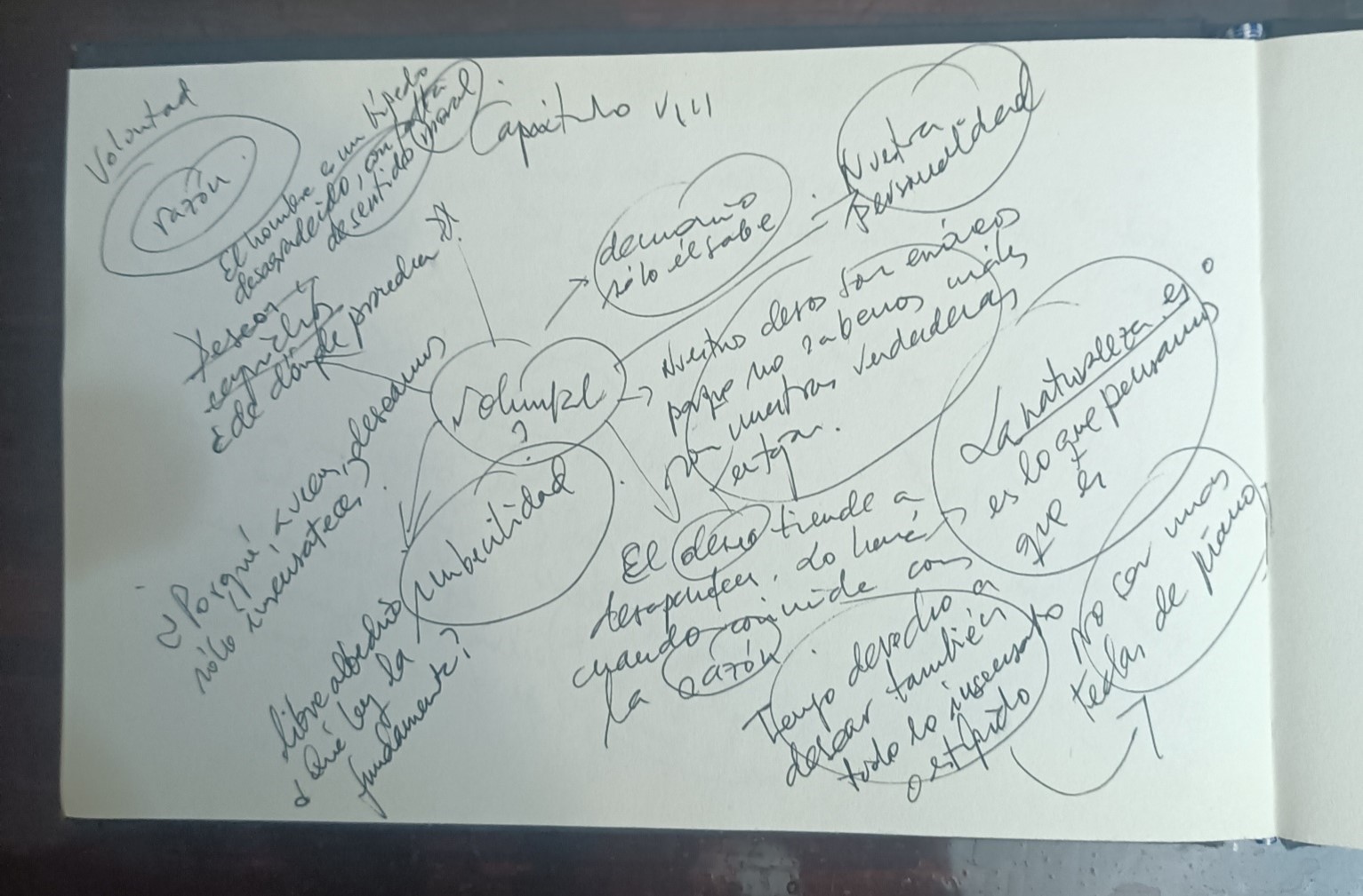 Sobre apuntes del subsuelo. Antonio Florido.