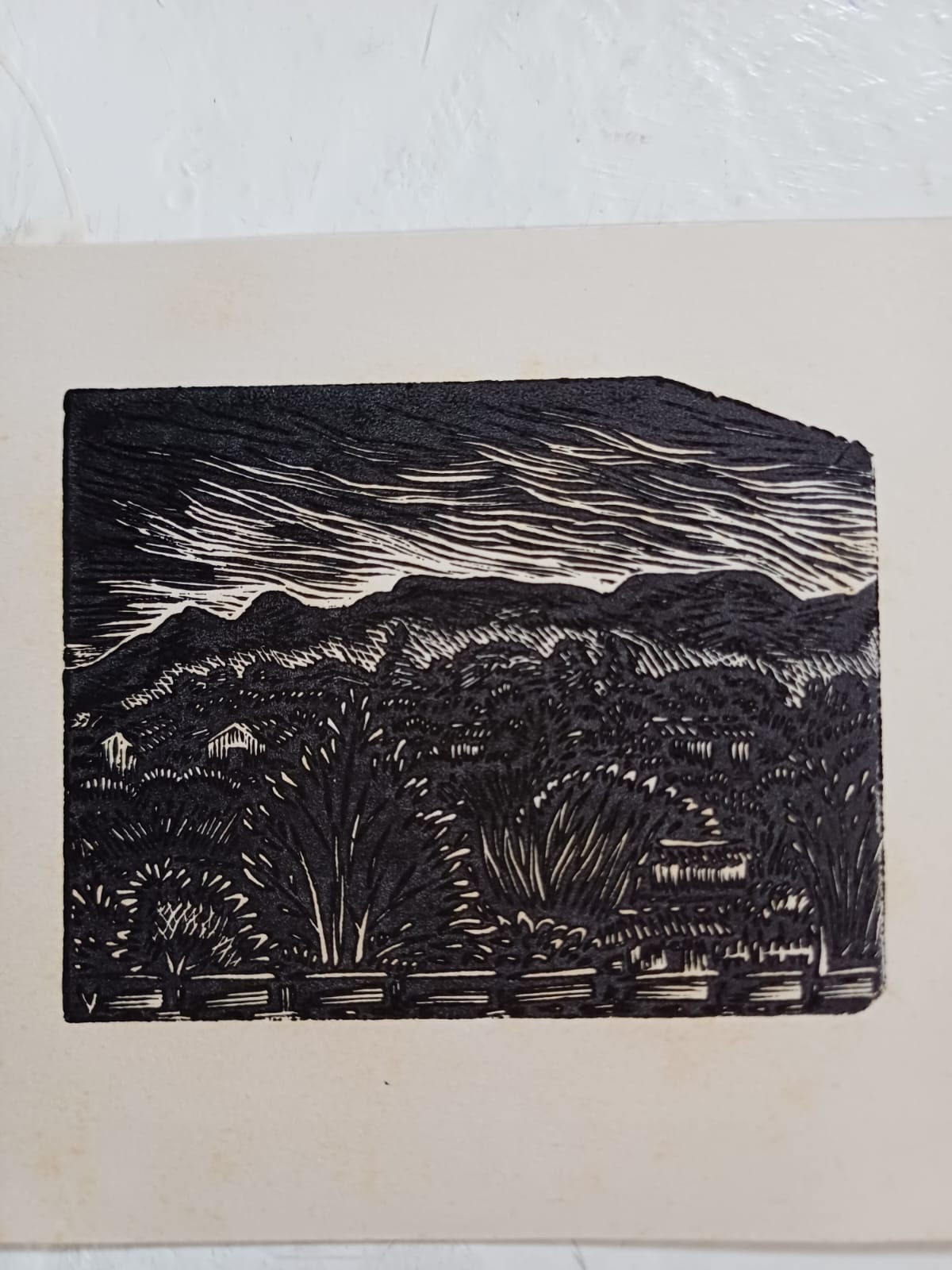 Ilustración: Héctor Ventura.