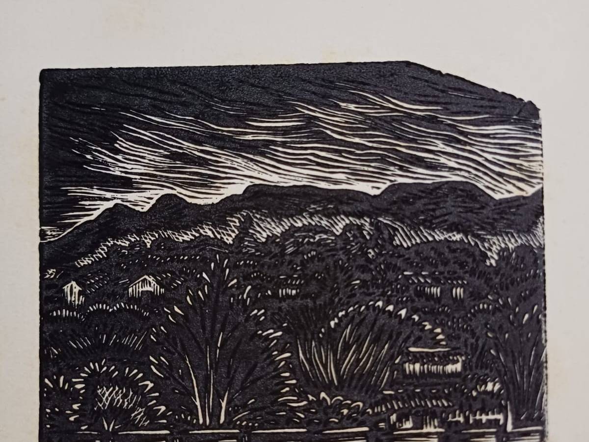 Polvo del camino. 230. Pez sin bicicleta. Héctor Cortés&nbsp;Mandujano