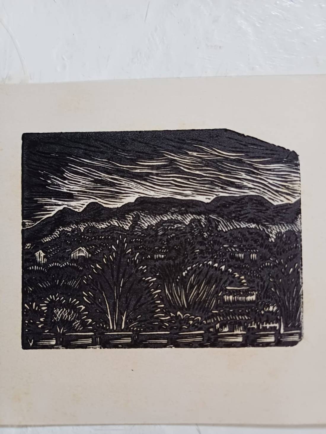 Ilustración: Héctor Ventura.