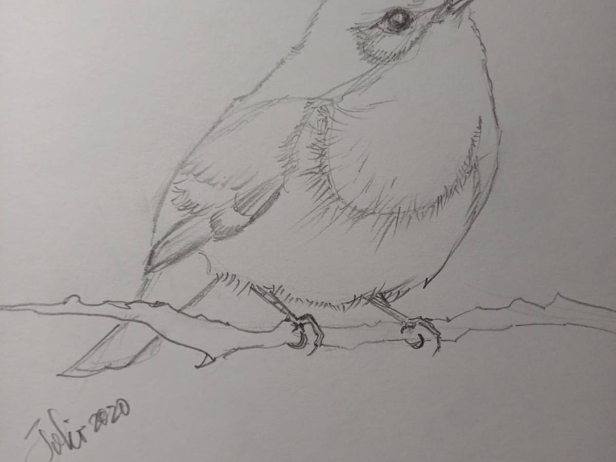 Polvo del camino. 234. La larga línea verde en el mar. Héctor Cortés&nbsp;Mandujano