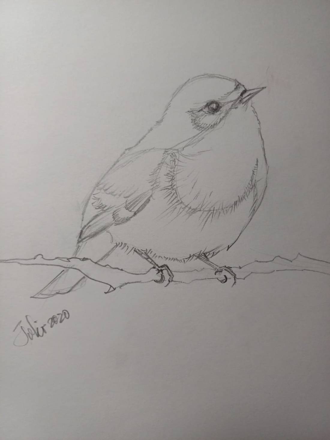 Ilustración: Leonora Ventura.