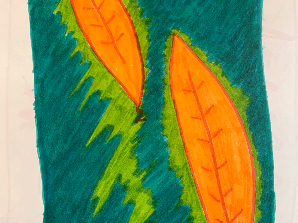 Polvo del camino. 235. Los pobres, fuente de riqueza. Héctor Cortés&nbsp;Mandujano