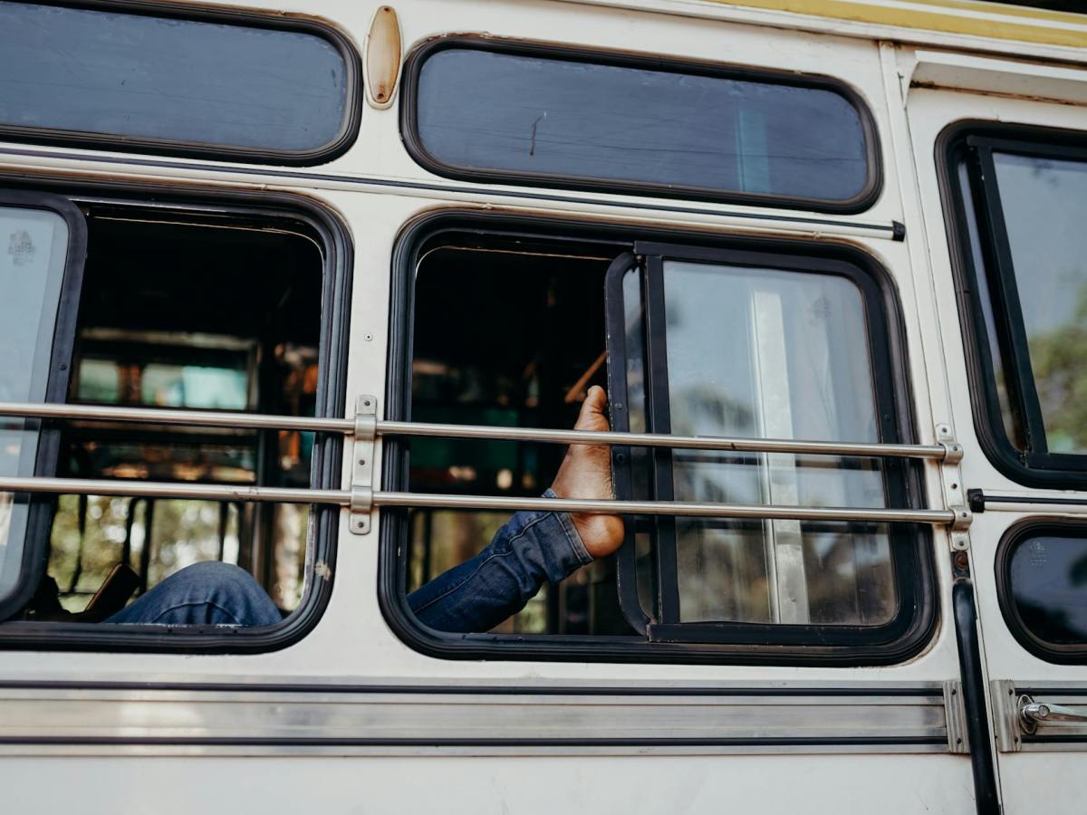 Voces ensortijadas 236. Saborines, saborines. María Gabriela López&nbsp;Suárez