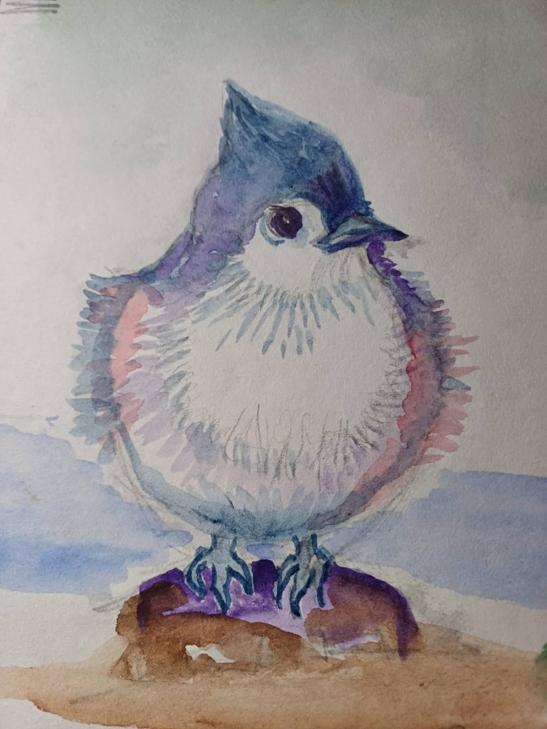 Ilustración: Leonora Ventura.