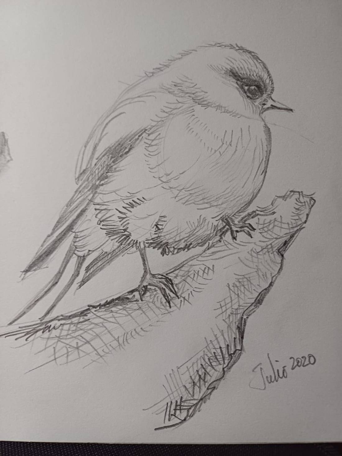 Ilustración: Leonora Ventura.