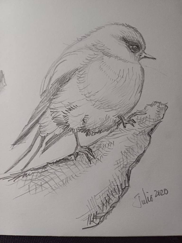 Ilustración: Leonora Ventura.