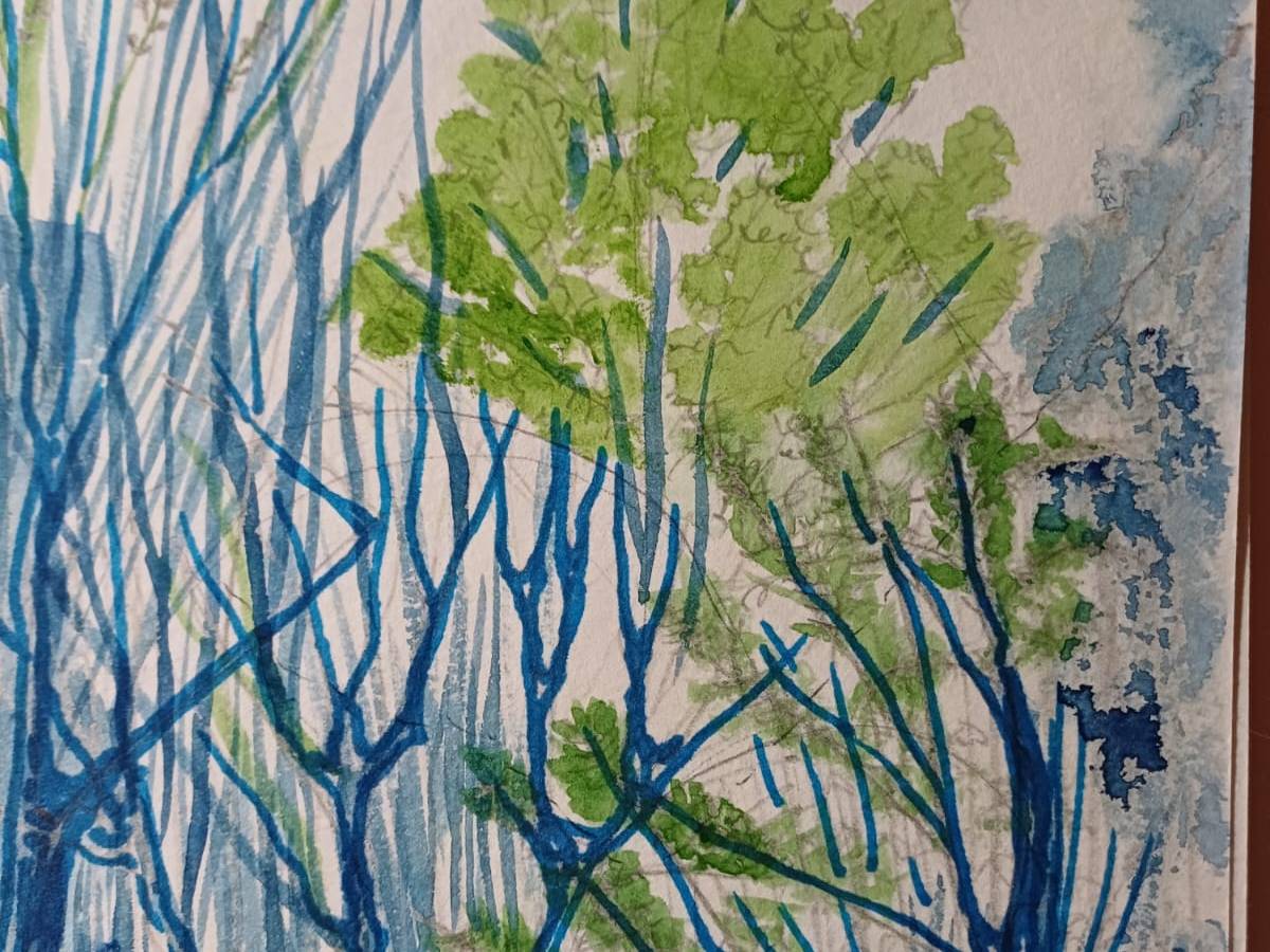 Polvo del camino. 250. Friolera de notitas. Héctor Cortés&nbsp;Mandujano