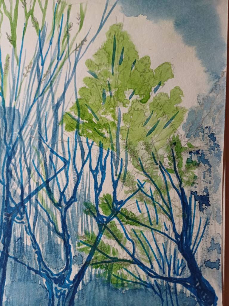 Ilustración: Leonora Ventura