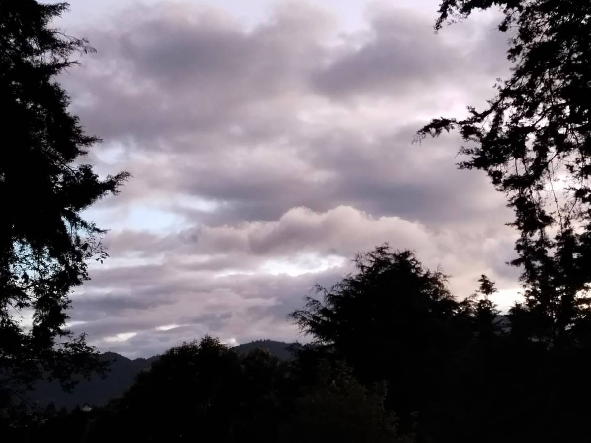 Voces ensortijadas 250. Recordar al linaje desde el corazón. María Gabriela López&nbsp;Suárez