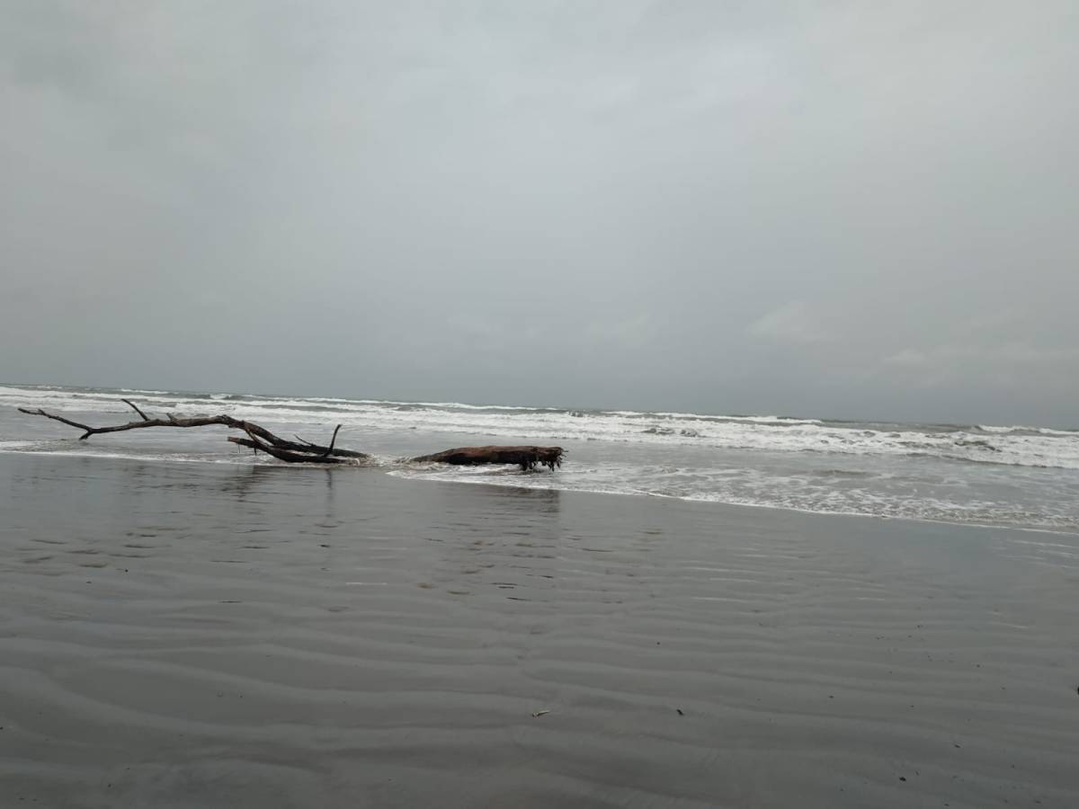 Líneas de desnudo. 133. Cerrando círculos. Manuel&nbsp;Pérez-Petit