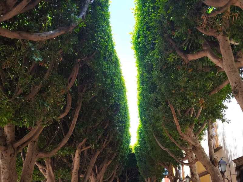 Líneas de desnudo. 140. El ascenso y la caída. Manuel&nbsp;Pérez-Petit