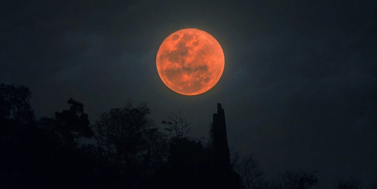 Fotografía: proporcionada por el autor.