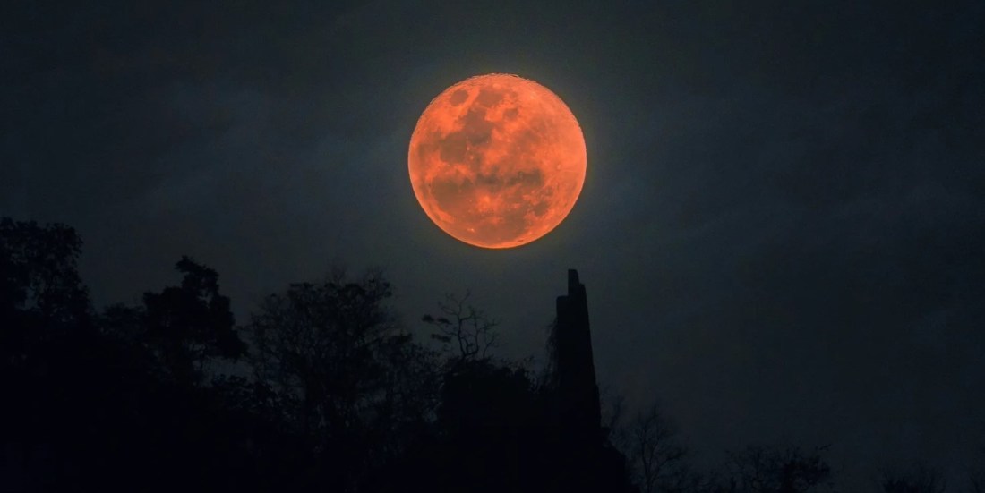 Fotografía: proporcionada por el autor.