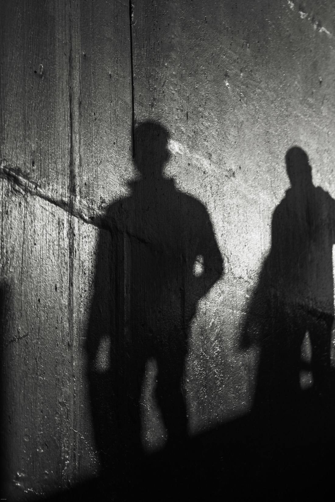 Fotografìa: Caner Demiroğlu en Pexels.