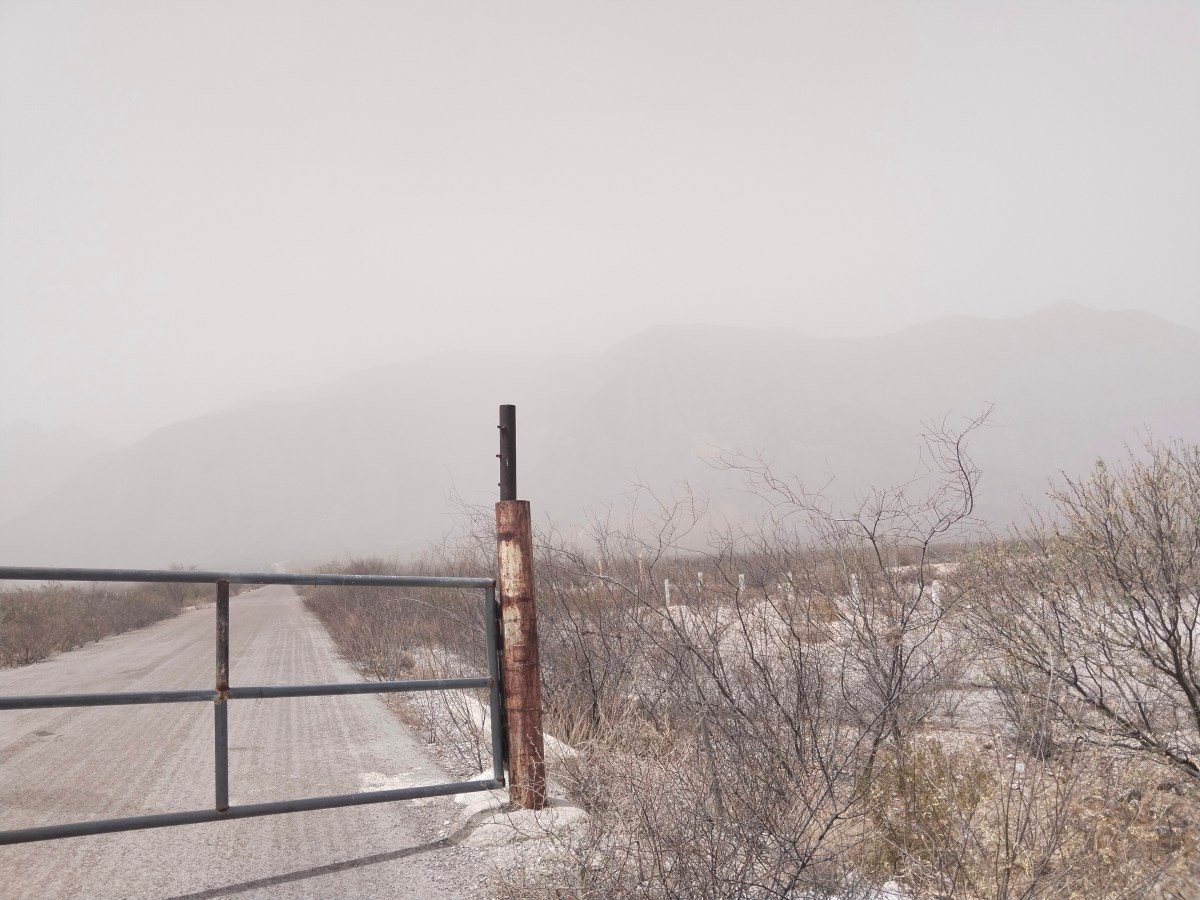 Voces ensortijadas 275. Habitar el desierto. María Gabriela López&nbsp;Suárez