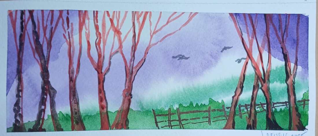 Ilustración: Leonora Ventura.