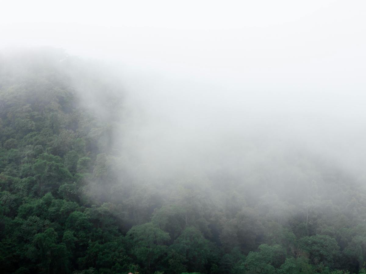 Voces ensortijadas. 292. Entre neblina y montañas. María Gabriela López&nbsp;Suárez