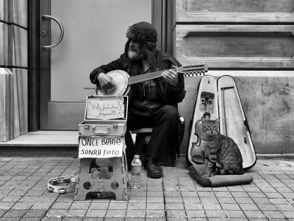 Voces ensortijadas. 289. La música en el corazón. María Gabriela López&nbsp;Suárez