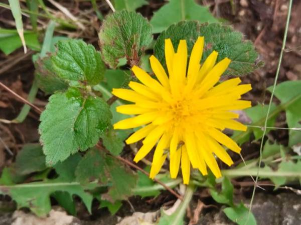 Voces ensortijadas. 291. Otra oportunidad. María Gabriela López&nbsp;Suárez