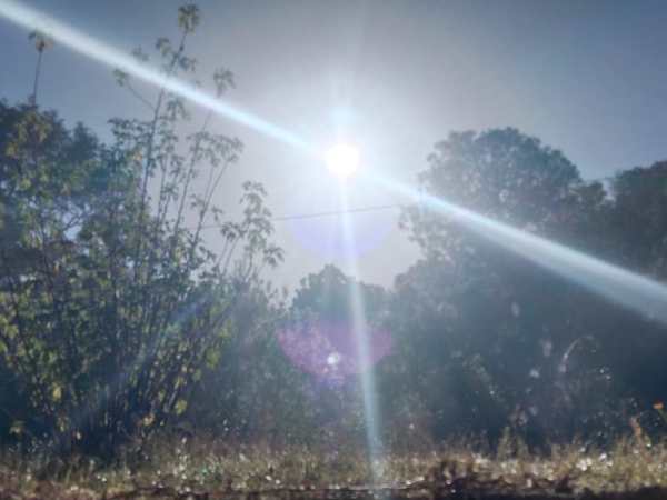 Voces ensortijadas. 293. El intercambio de sonrisas. María Gabriela López&nbsp;Suárez