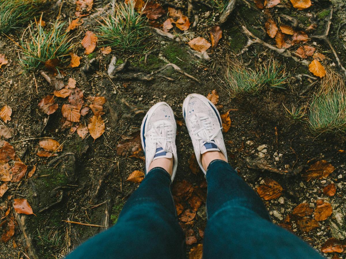 Voces ensortijadas. 299. Los caminares desde el corazón. María Gabriela López&nbsp;Suárez