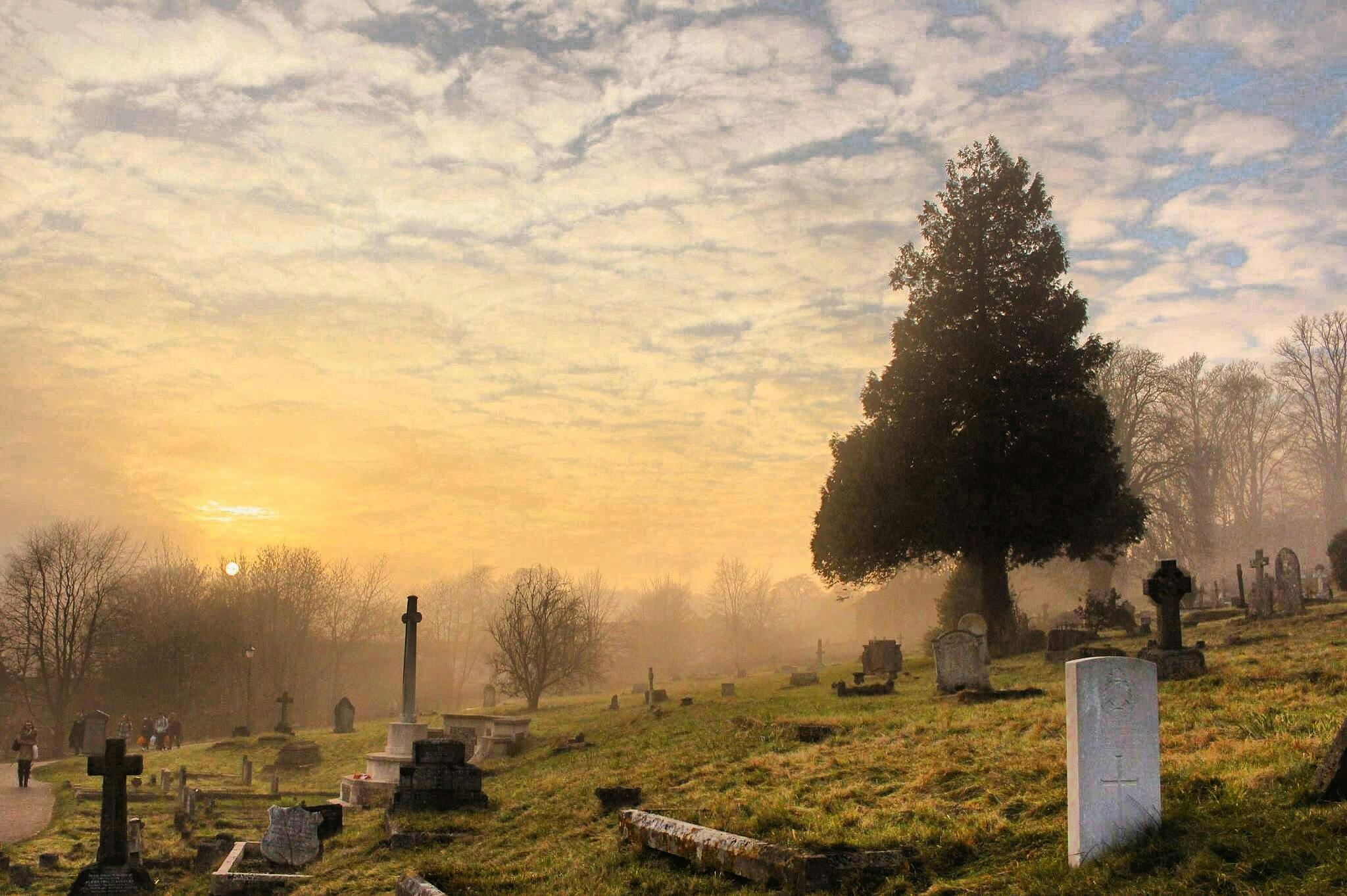 Foto de Anna-Louise: https://www.pexels.com/es-es/foto/cementerio-bajo-el-cielo-nublado-674732/