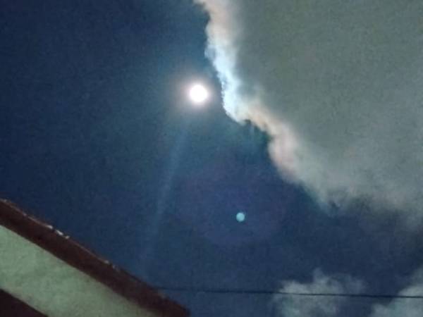 Líneas de desnudo. 169. Quererse. Manuel&nbsp;Pérez-Petit