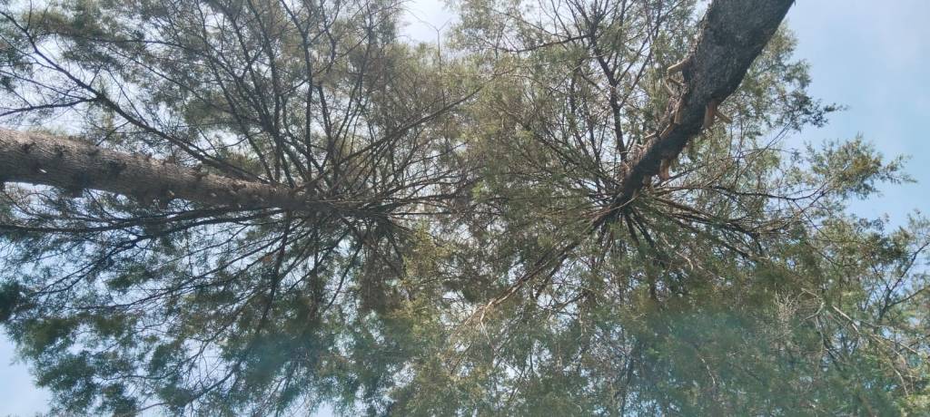 Fotografía: María Gabriela López Suárez.