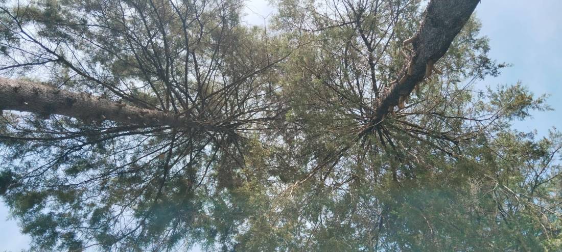 Fotografía: María Gabriela López Suárez.