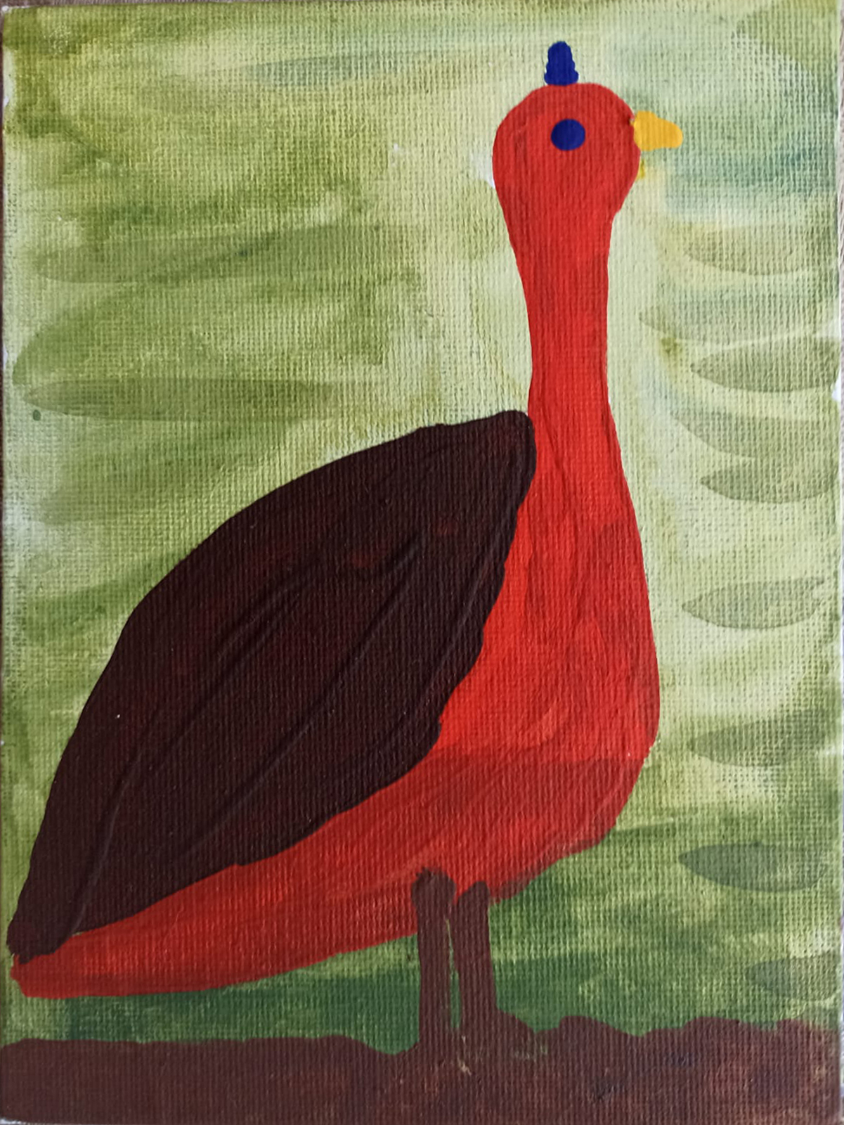 La ilustración de de HCM.