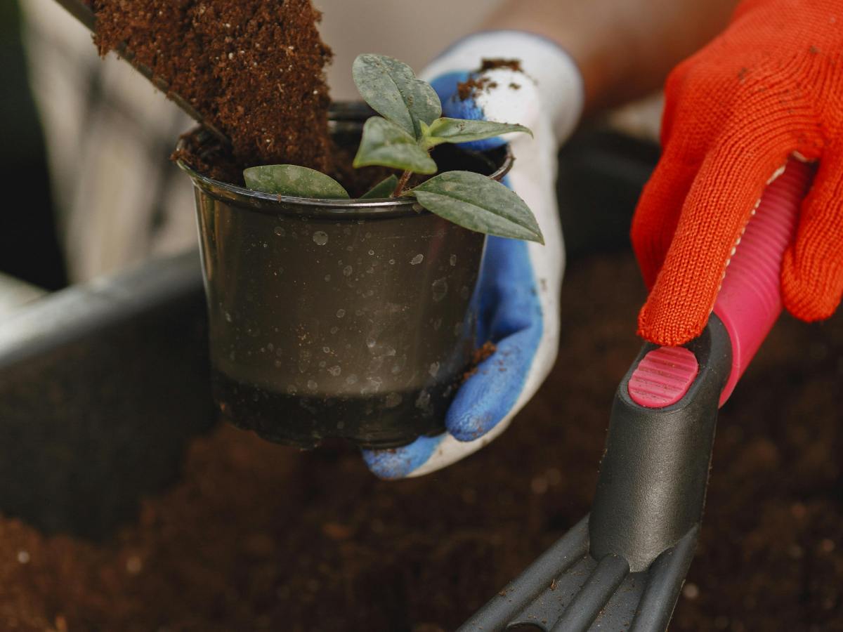 Voces ensortijadas. 308. Sé feliz, chiquilla. María Gabriela López&nbsp;Suárez