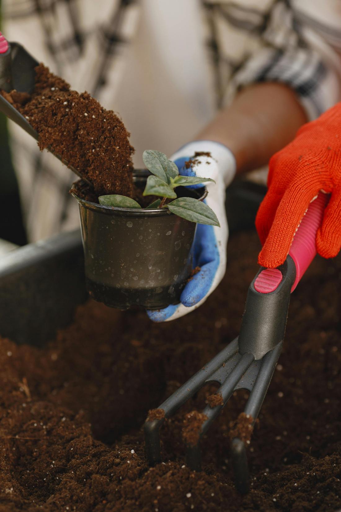 Photo by Gustavo Fring: https://www.pexels.com/photo/close-up-shot-of-person-putting-soil-in-potted-plant-5622470/