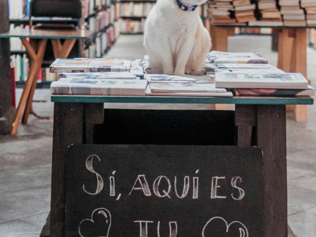 Voces ensortijadas. 307. La poesía nos une. María Gabriela López&nbsp;Suárez