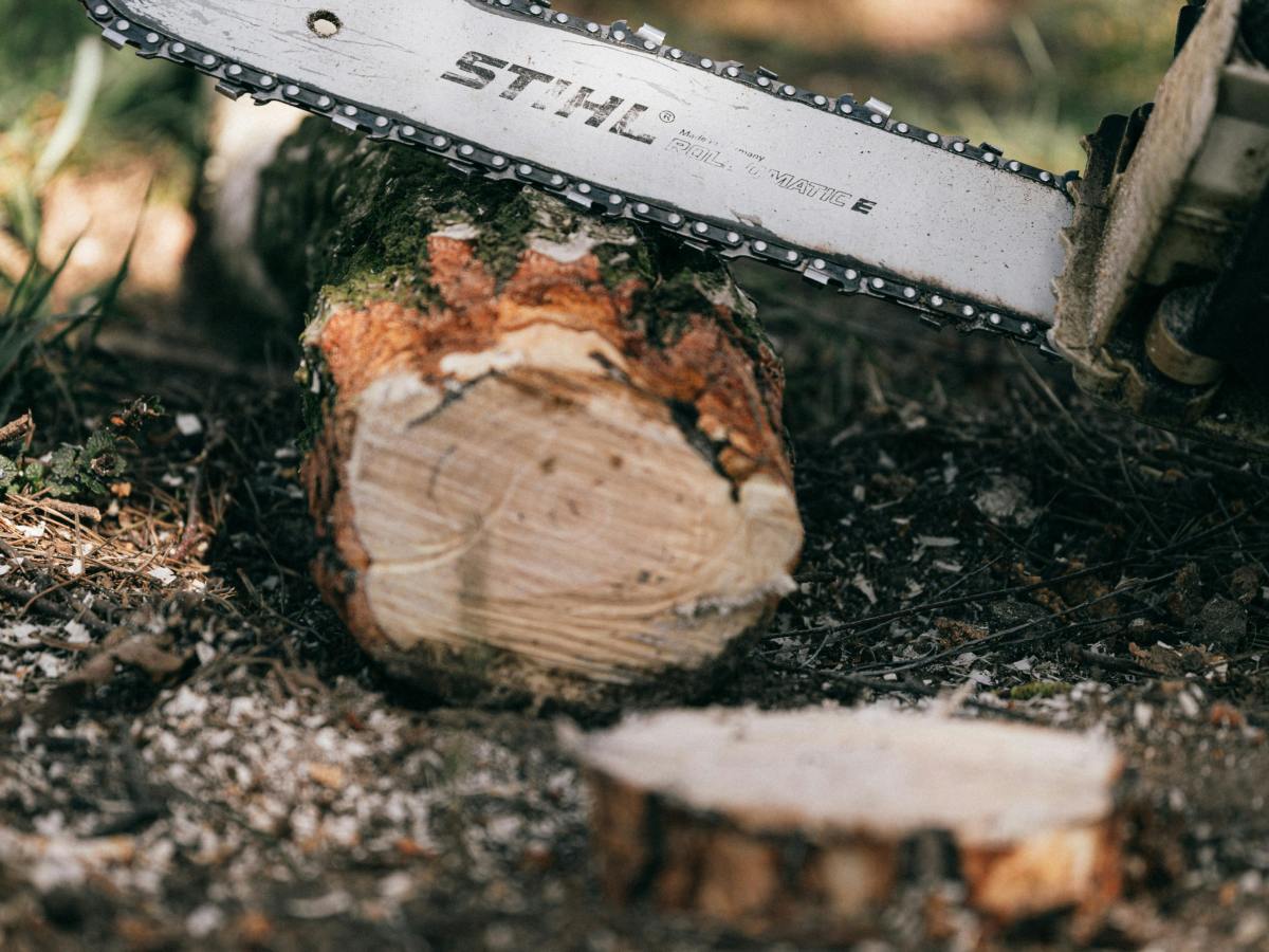 Voces ensortijadas. 312. Uno menos. María Gabriela López&nbsp;Suárez